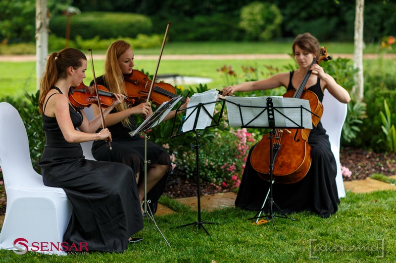 trio smyczkowe na ślubie 